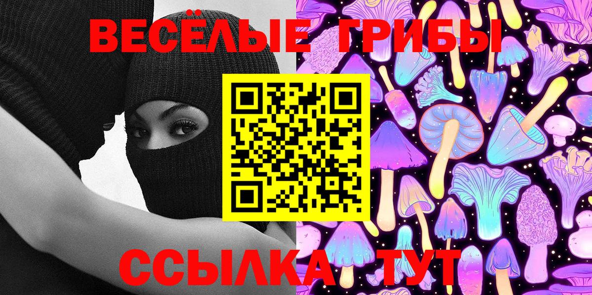 Галлюциногенные грибы GOLDEN TEACHER  Вход с VPN  Егорьевск  Галлюциногенные грибы Psilocybine cubensis 